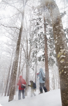 信越自然郷を楽しんでいる様子