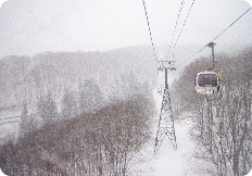 NEW NAGASAKA GONDOLA