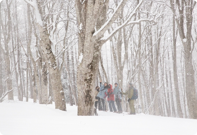 スノーシューイング