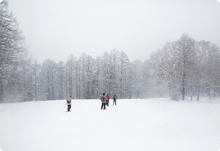 スノーシューイング