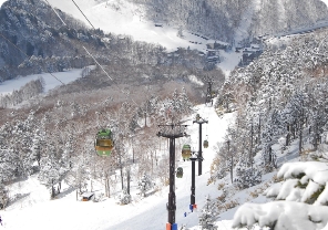 志貸高原リゾートゴンドラ